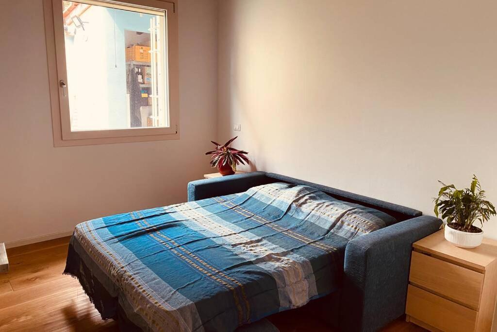 Apartmán Viareggina Con Giardino Marina Di Pisa Exteriér fotografie